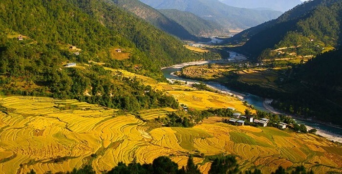 Torsa Strict Nature Reserve in Bhutan