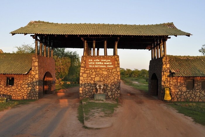 Yala National Park Safari Timings