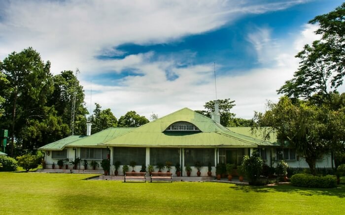acj-1910-kaziranga-national-park-12