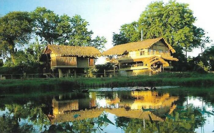 acj-1910-kaziranga-national-park-17