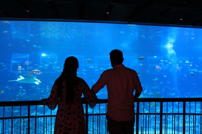 aquarium in sentosa island
