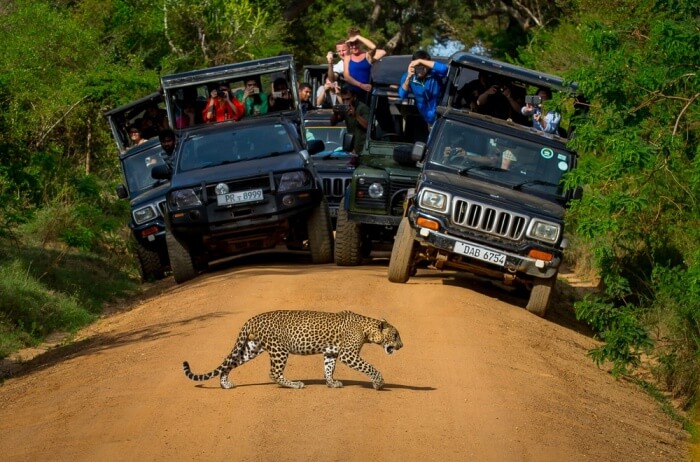 Yala National Park