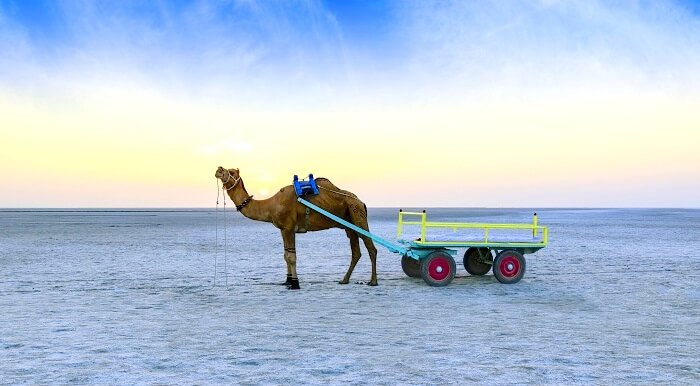 kutch gujarat