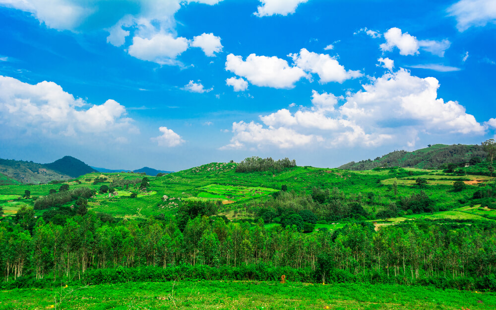 a beautiful green field under clouded sky