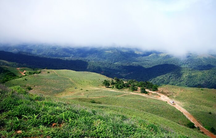 meadows in coorg