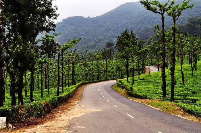 Drive To Valparai