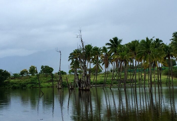 Kerala backwaters