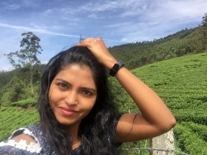 tea plantations in Munnar