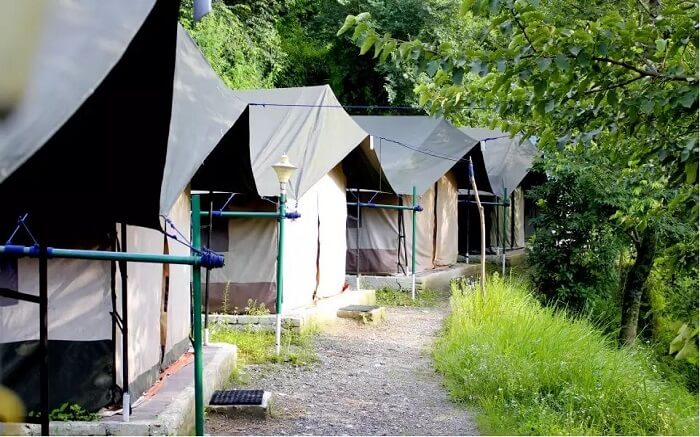 A narrow pathway leading to the tents of Rockstays camps in Junga