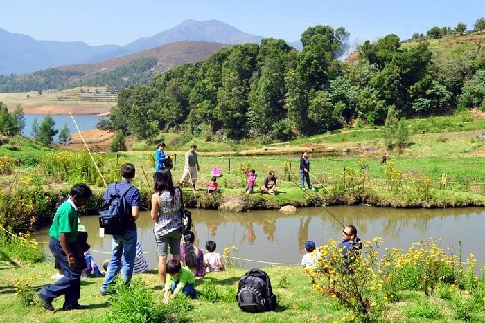 stay with your family at Destiny The Farm Resort