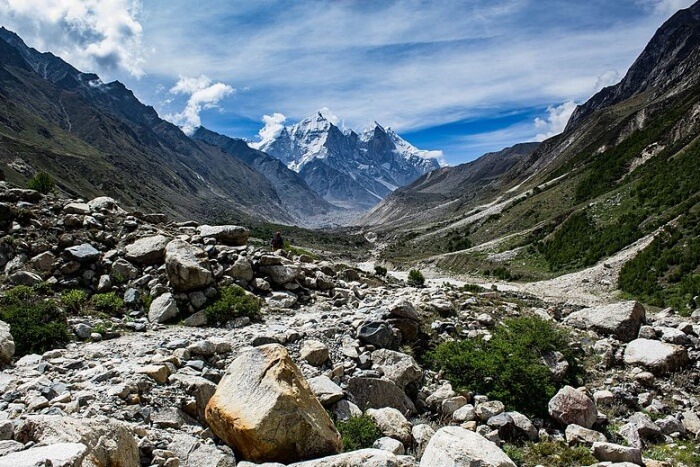 Gangotri National Park