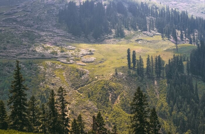 Hamya Herbal Trek