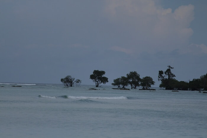 things to see in andaman