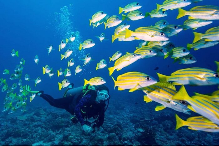 visit Micronesia without visa