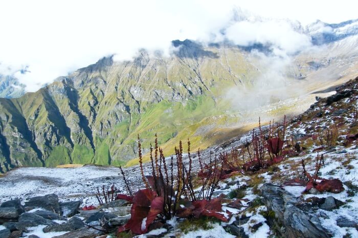 Nanda Devi National Park