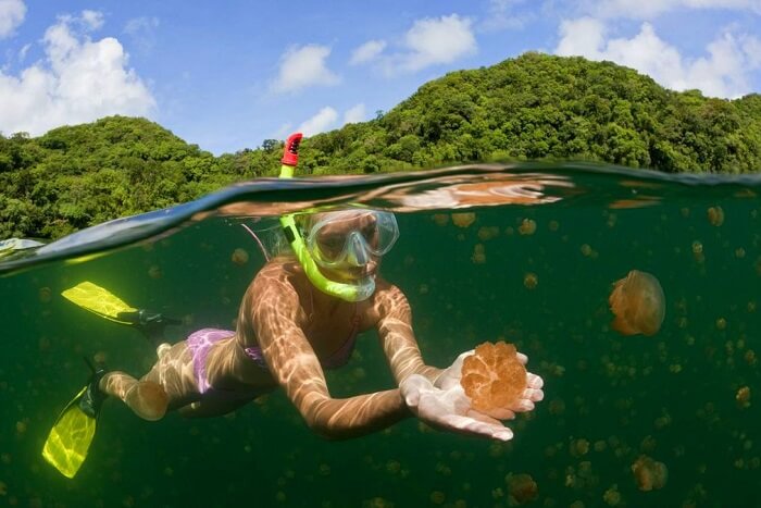 visit Palau without visa