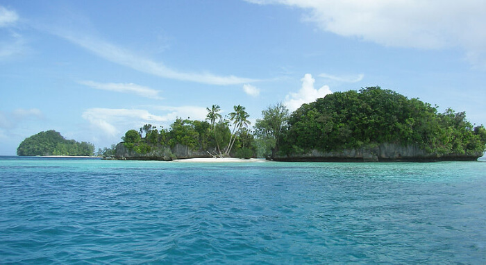 Palau Viiew