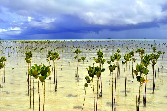visit Tuvalu without visa