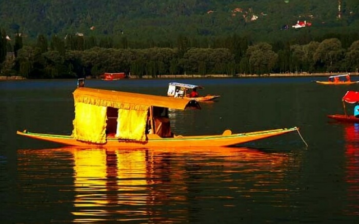 Shikara ride with your better half on the Dal Lake Srinagar