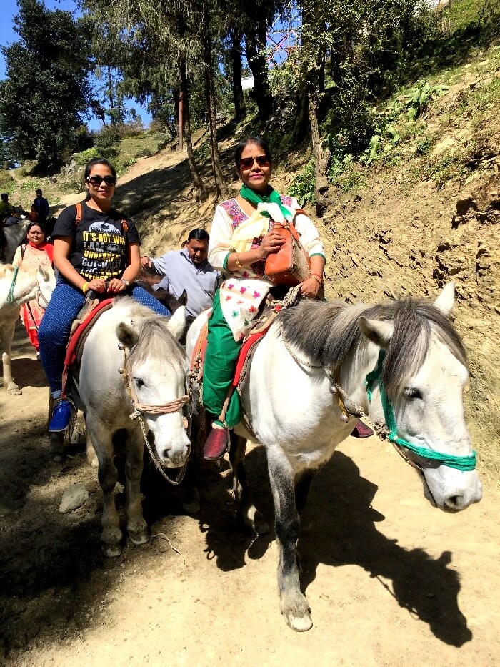 family trip kufri