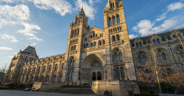Victoria and Albert Museum in London City Centre - Tours and Activities