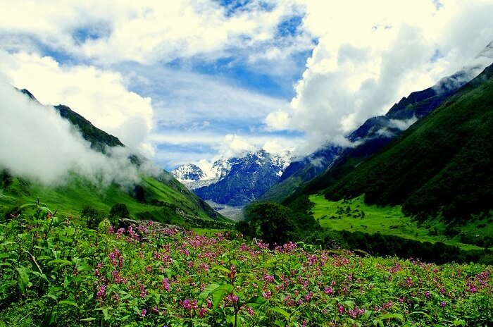 valley of flowers in uttarakhand