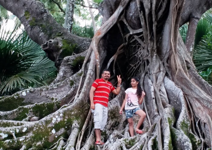 Andaman family tour
