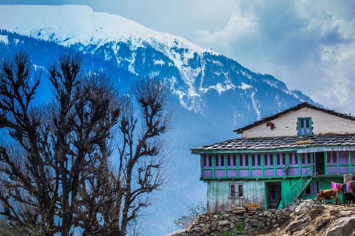 a house in Nakthan village with snow covered mountains