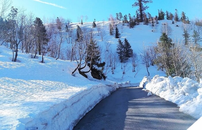 Snowfall in Gulaba, Manali