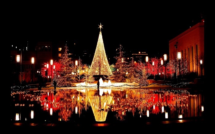 A Christmas decoration in Goa