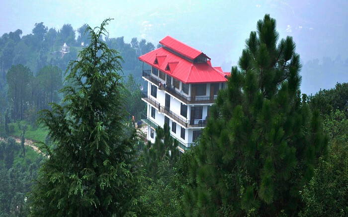 A view of Kushala Valley View in Shogi in Himachal