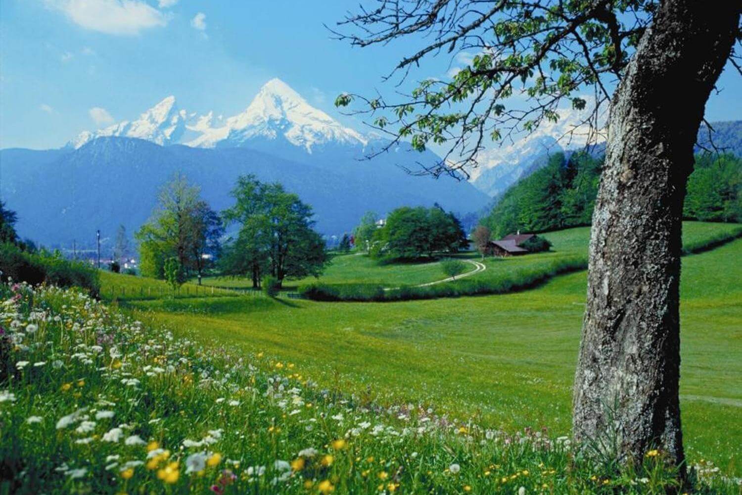 a beautiful garden in mountains