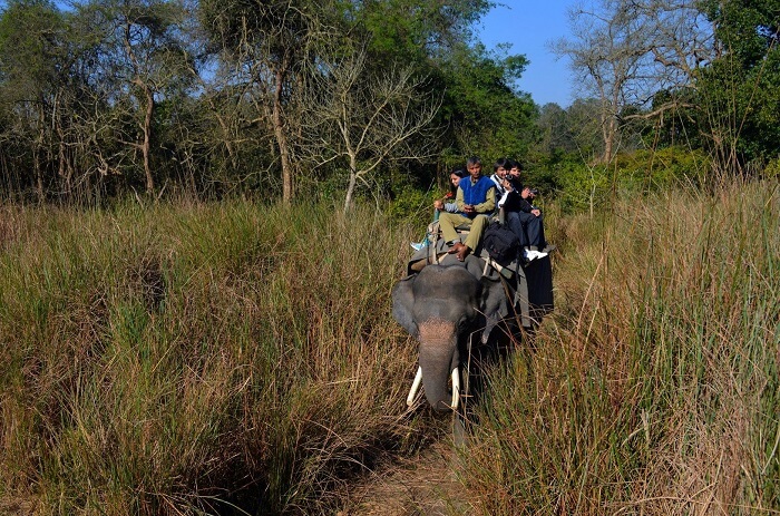 Go Elephant Riding
