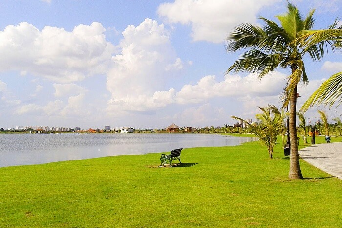Go Picnicking In The New Town Eco Park