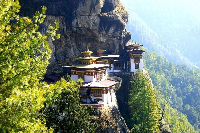 bhutan tigers nest