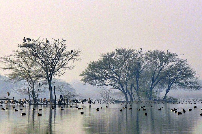 Watch the sunset on the banks of the Sultanpur Lake