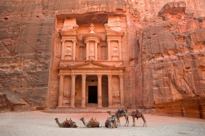 camels in Petra, Jordan