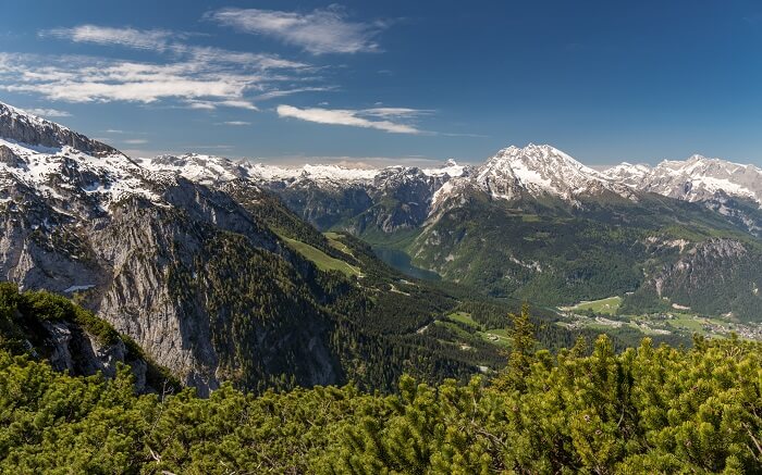 snow covered mountains surrounded by trees