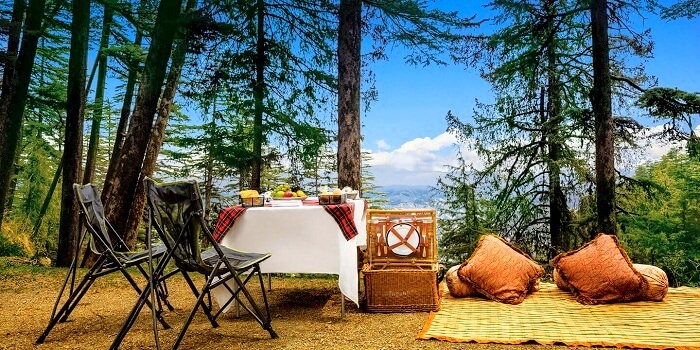 wildflower hall in shimla winter hotel