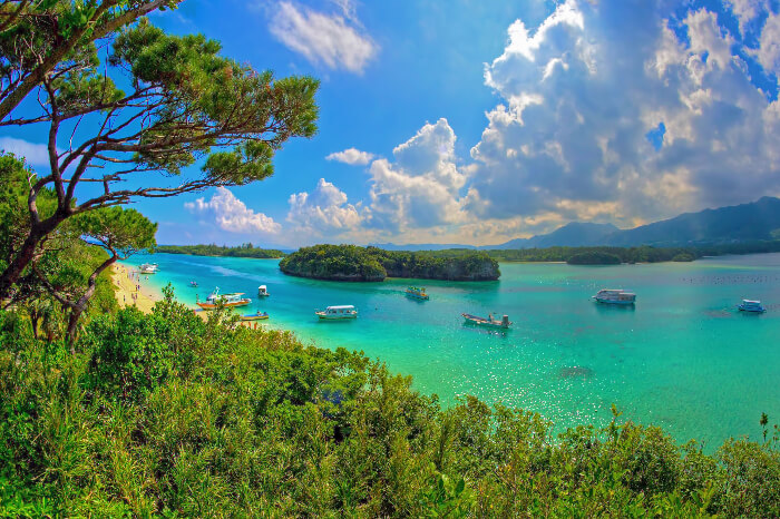 ships sailing on the green waters of an island
