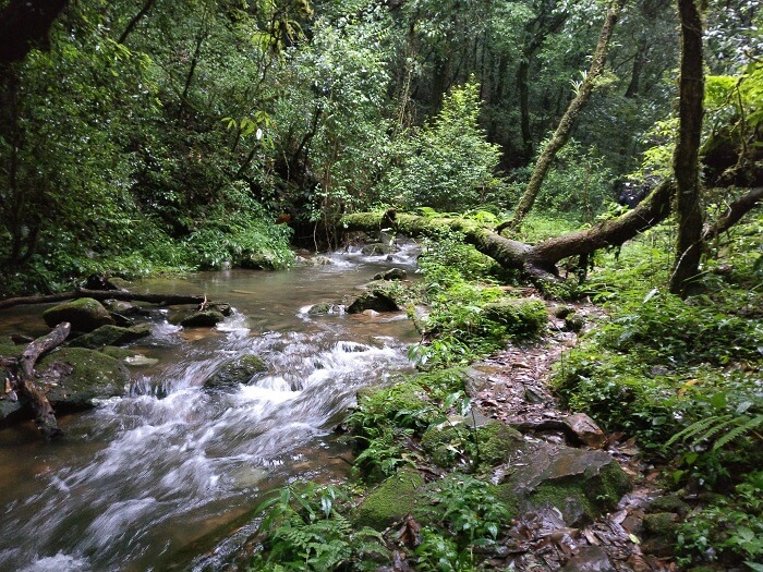 Mawphlang Falls
