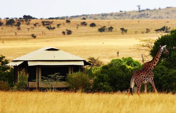 Luxury Hotels In Kenya