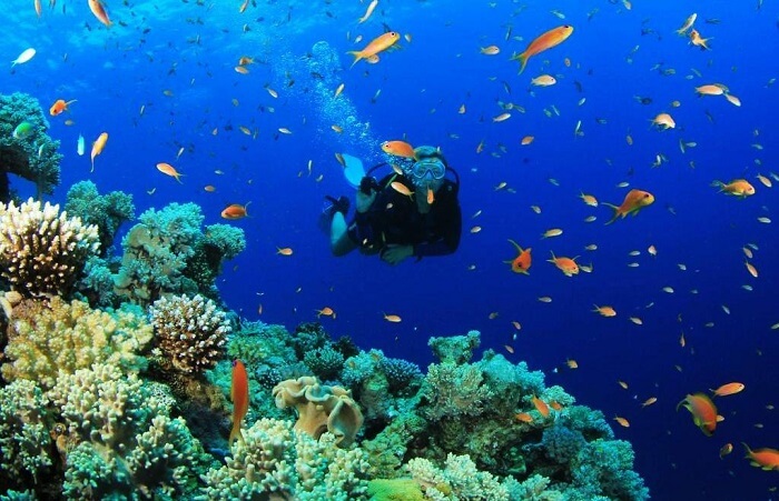Scuba Dive In Blue Lagoon Turkey