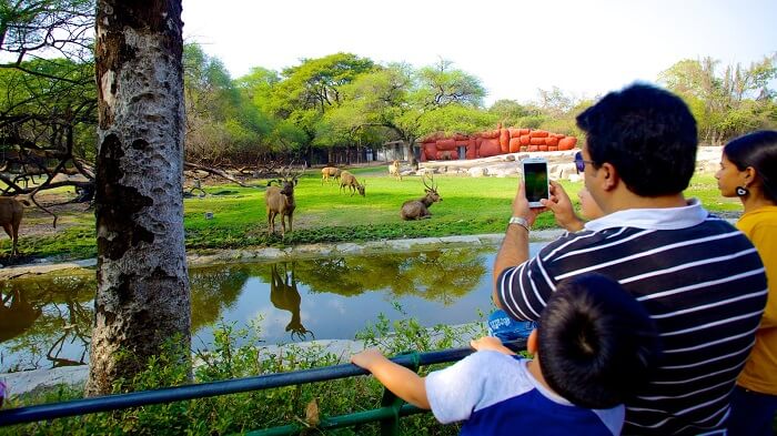 Nehru Zoological Park