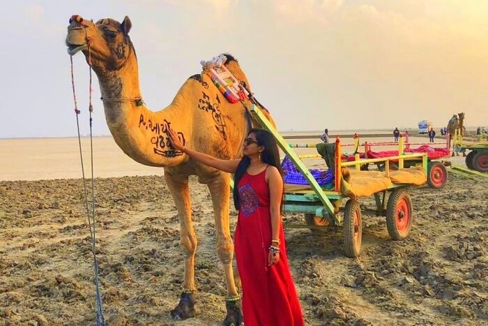 Trip to the Rann of Kutch