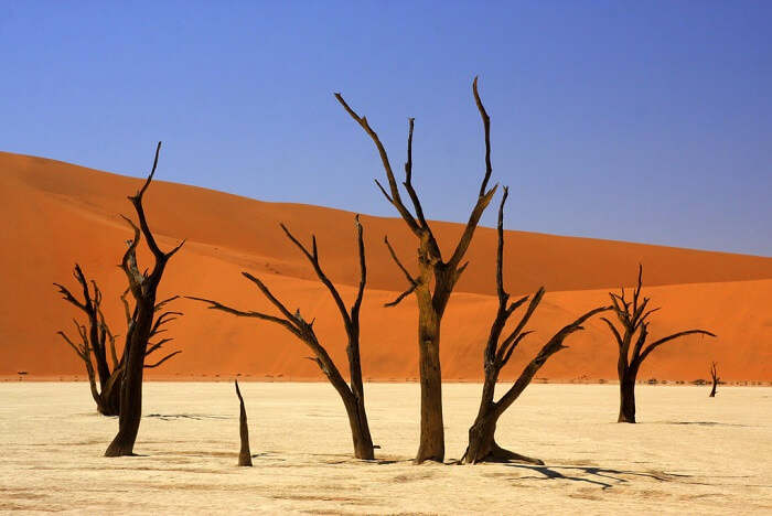 Namib-Naukluft National Park, Namibia