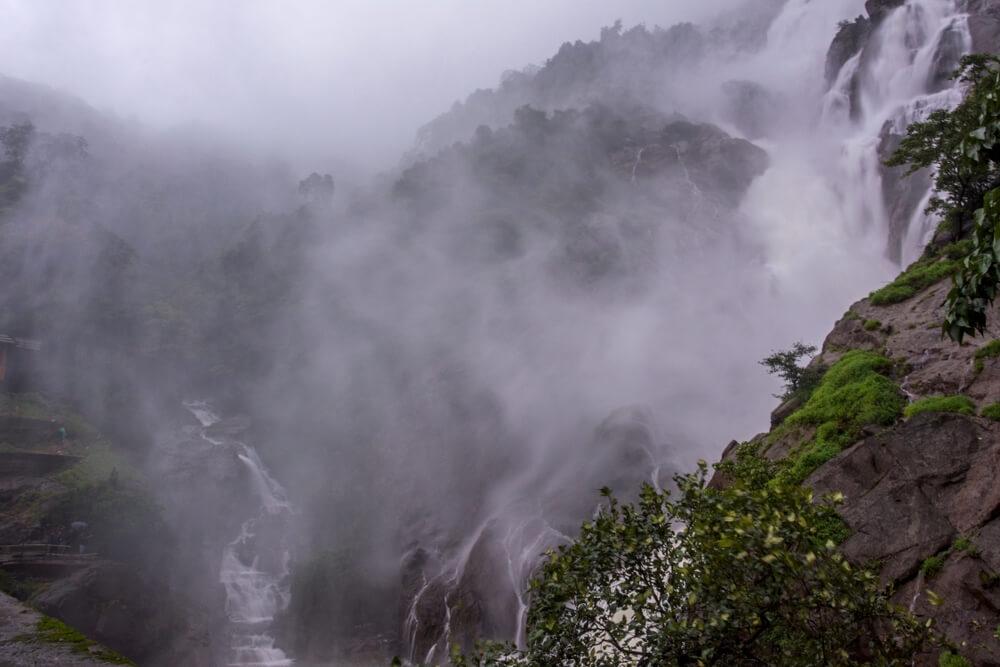 misty goa