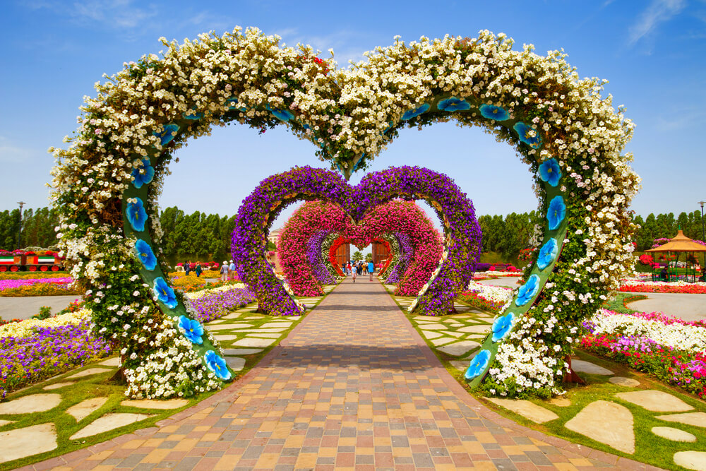 Dubai Miracle Garden: A Virtual Tour To World’s Largest Flower Garden