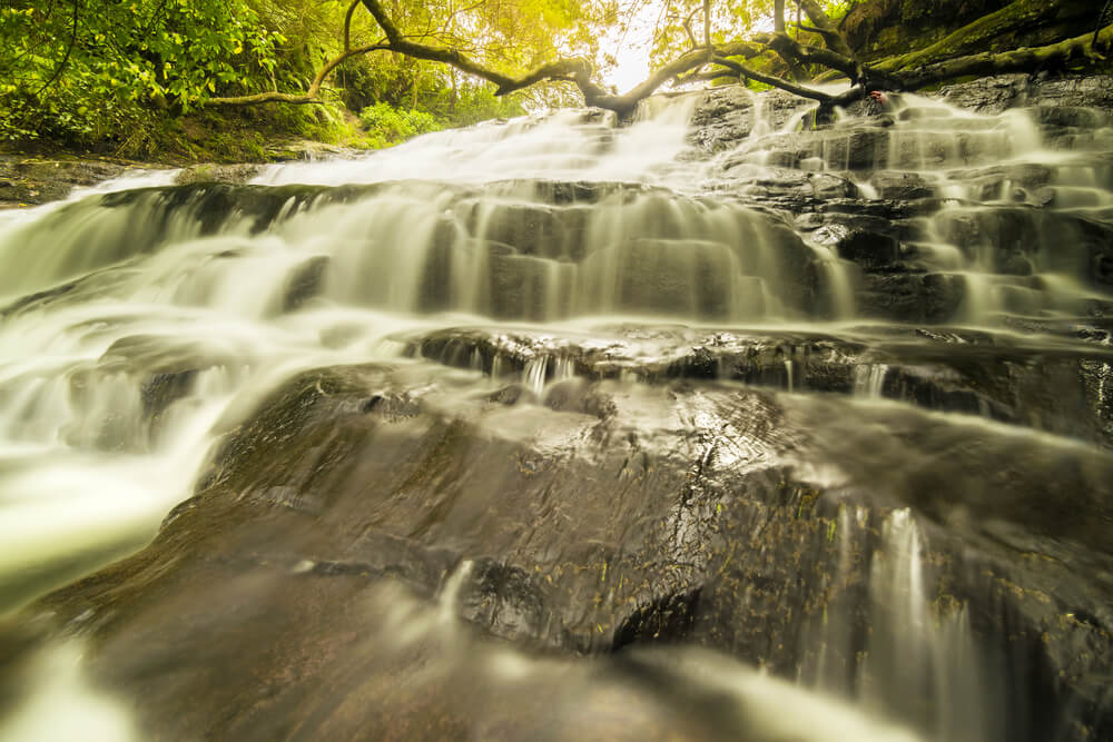 waterfall in a jungle