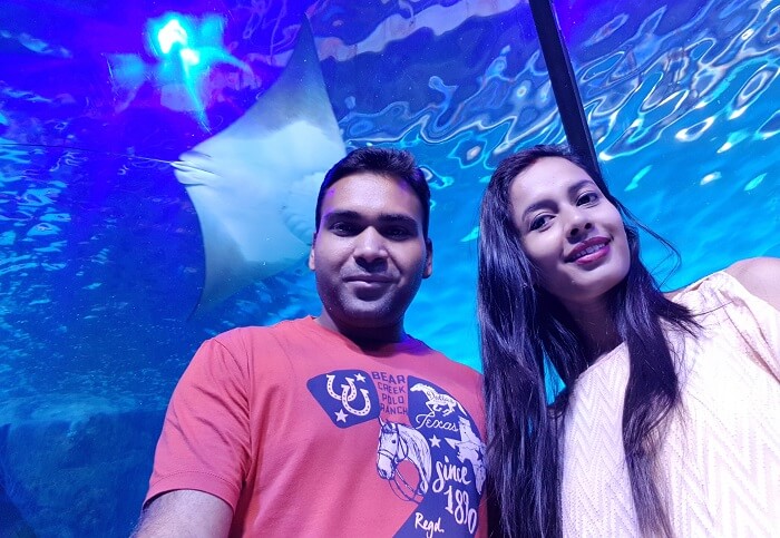 Aquarium and Underwater Zoo Dubai